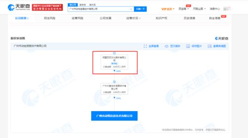 阿里文娛成立新公司，注冊資本1000萬進軍計算機軟硬件零售