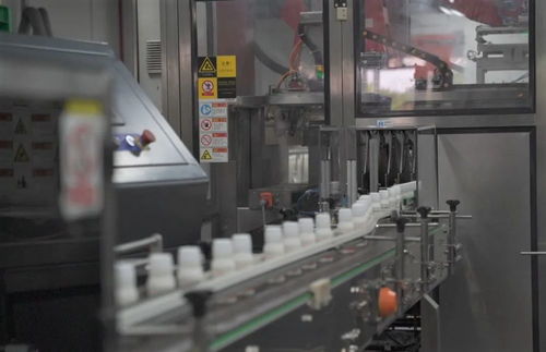 科技賦能，品質為基 拜耳五星級計算機軟硬件及輔助設備的卓越之道