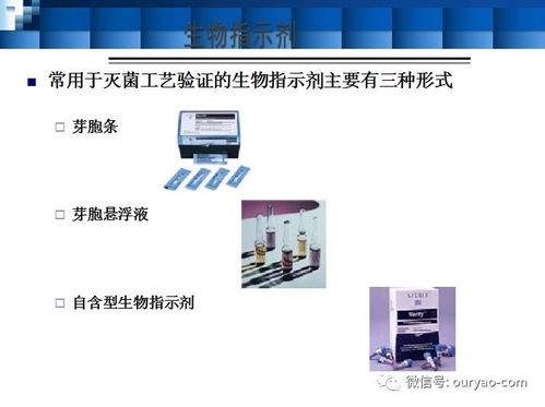 滅菌工藝與設備驗證 計算機軟硬件及輔助設備零售的合規保障